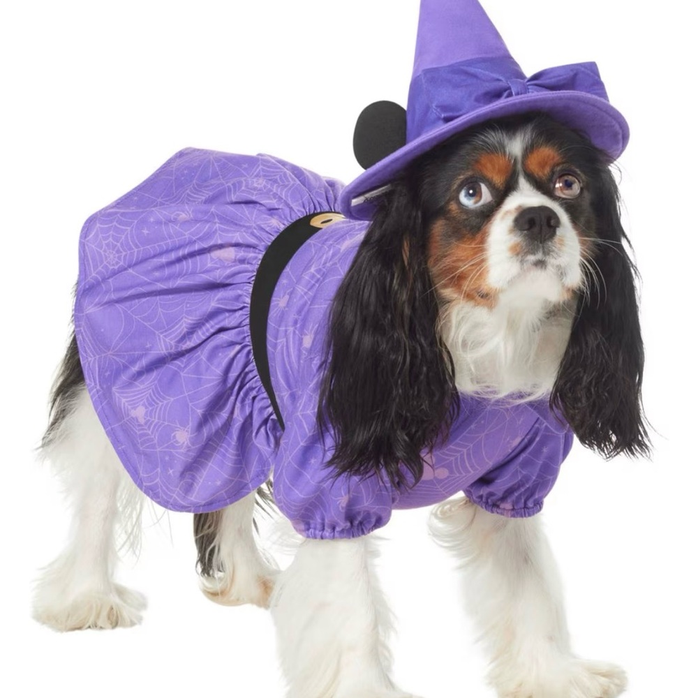 Minnie Mouse Witch Costume